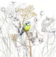 Serviette little bird (1570) 2Stk.