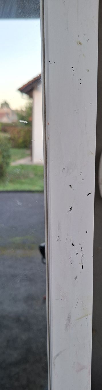 Specchi: Miroir sur pied – Usato da Domdidier venduto da SophieSG 2
