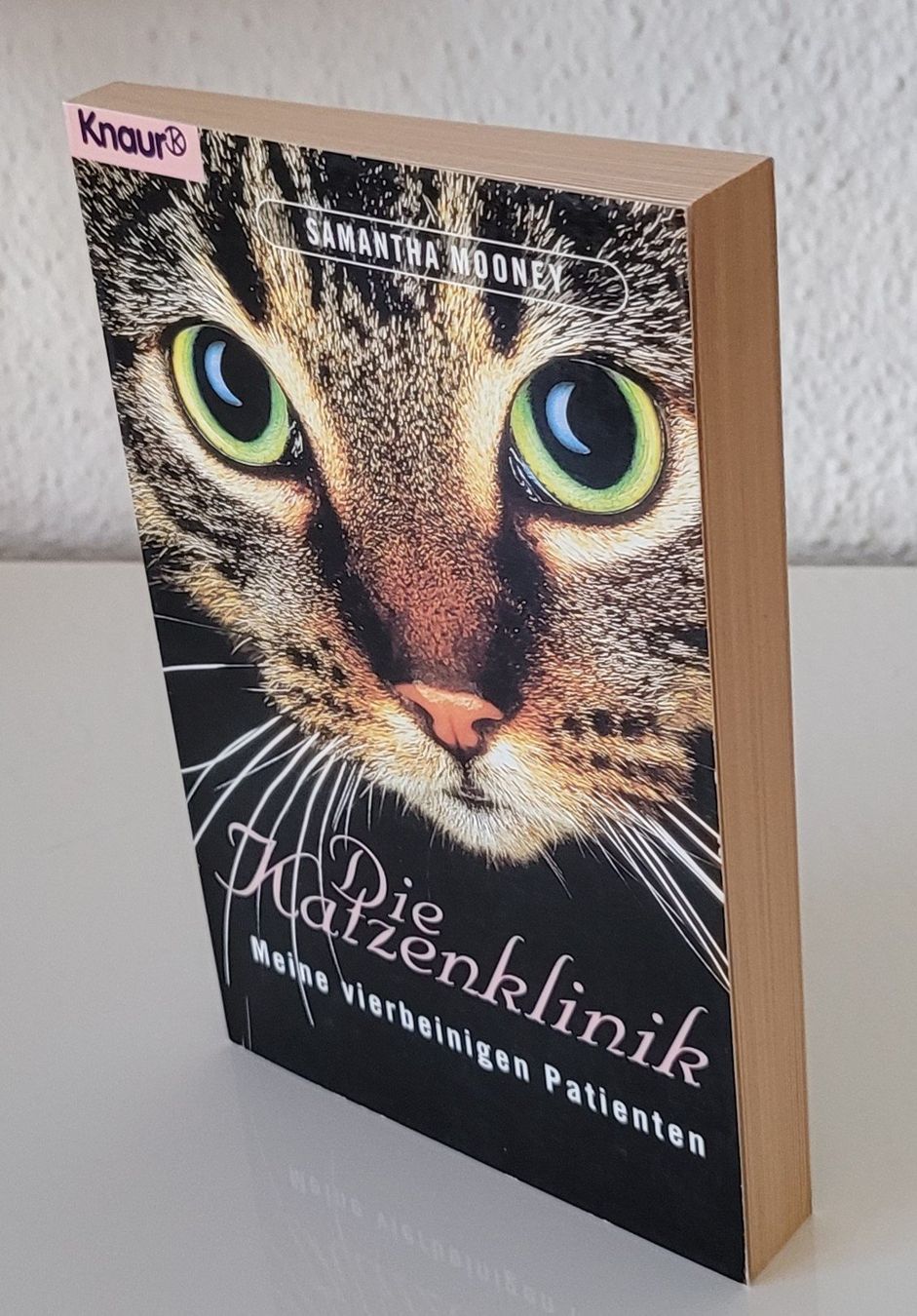Livres: 4 Katzenbücher – D'occasion à Zürich par fourpaws 5
