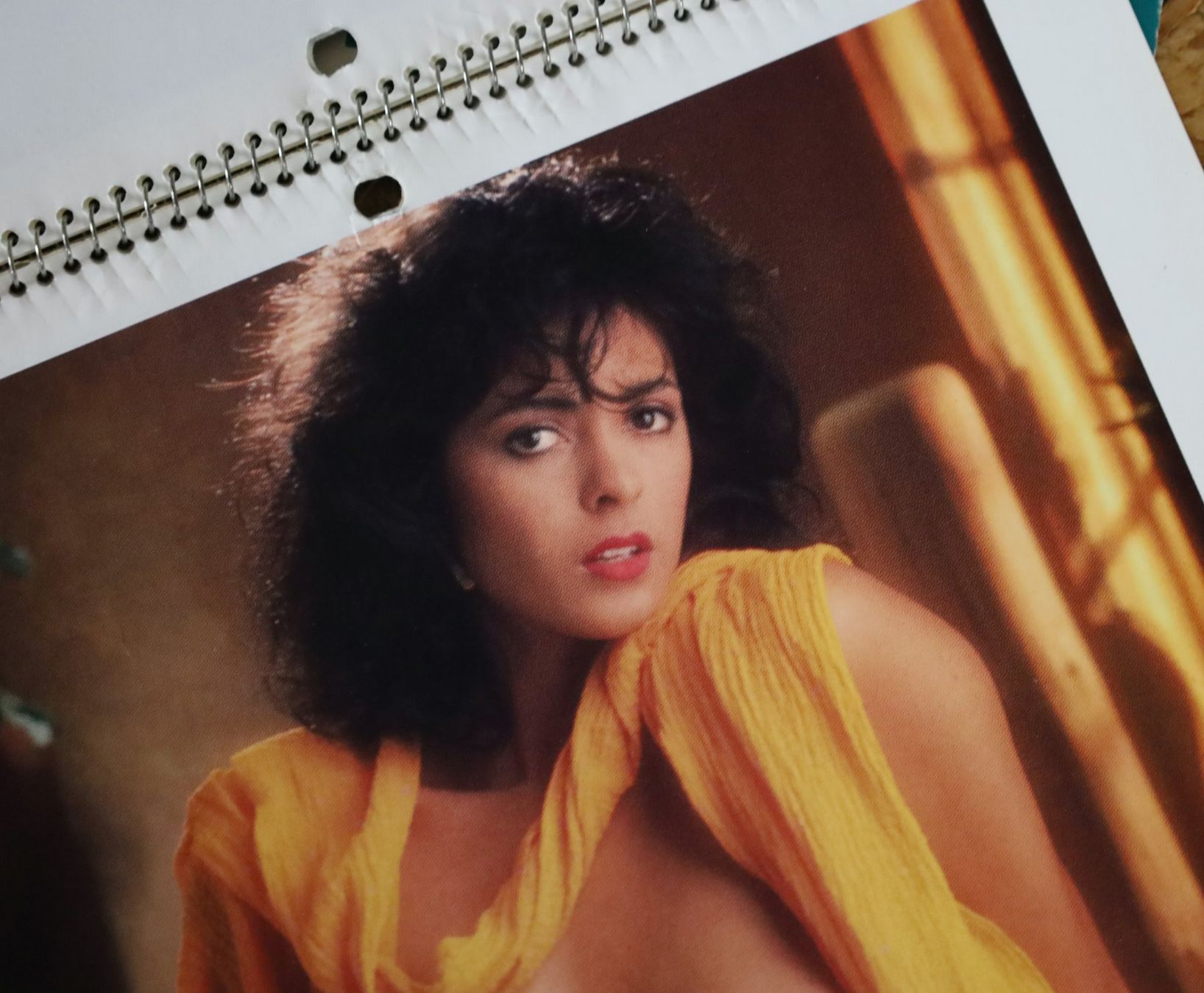 Playboy Calendari: PLAYBOY Kalender 1987 – Usato da Birrwil venduto da brandschatz_birrwil 4