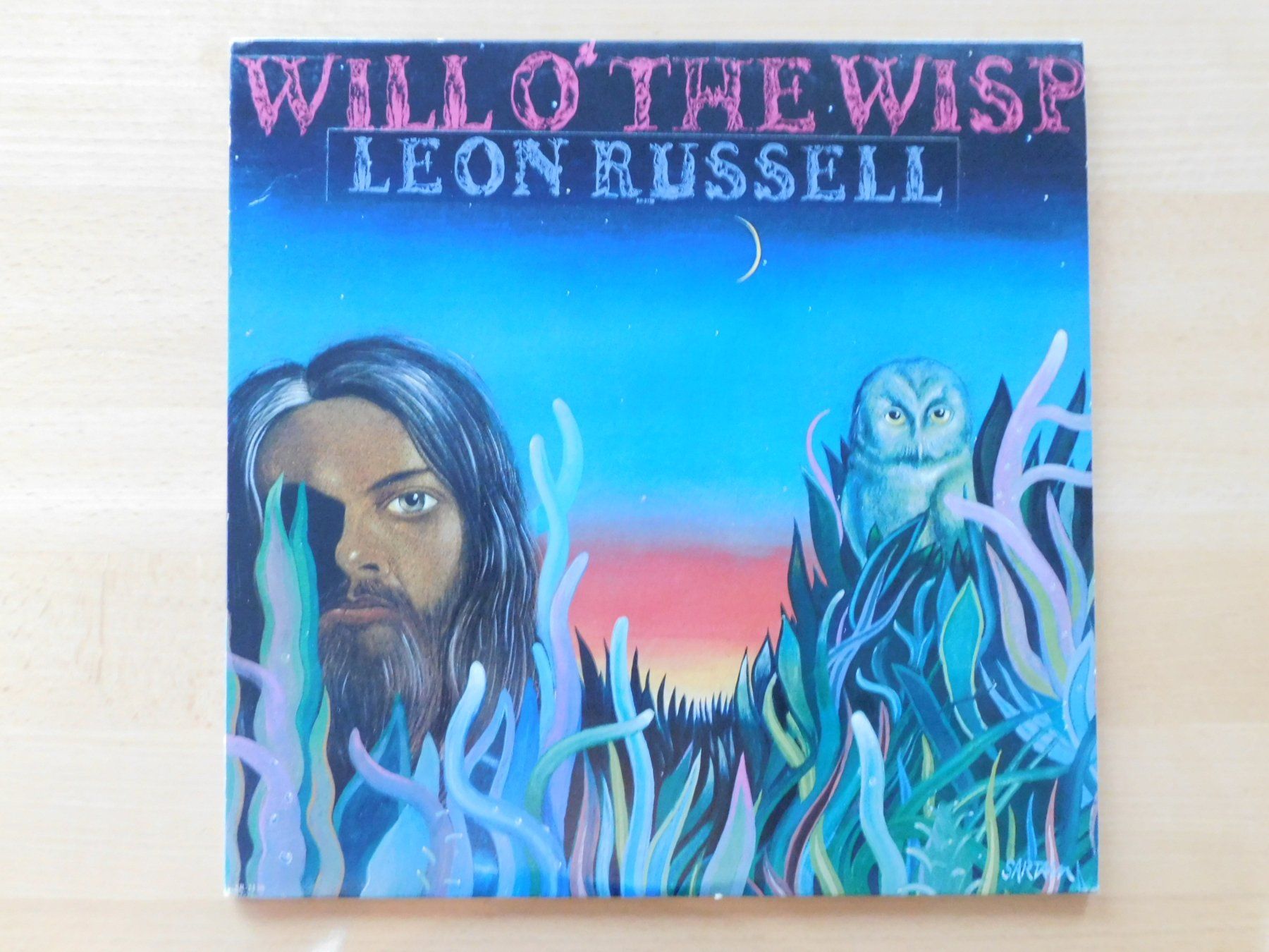 Dischi in vinile: Leon Russel - Will O' The Wisp – Usato da Emmenbrücke venduto da Dickens