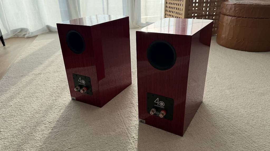 Casse acustiche: DynAudio Special 40 – Usato da Châtelaine venduto da jjuncal 2