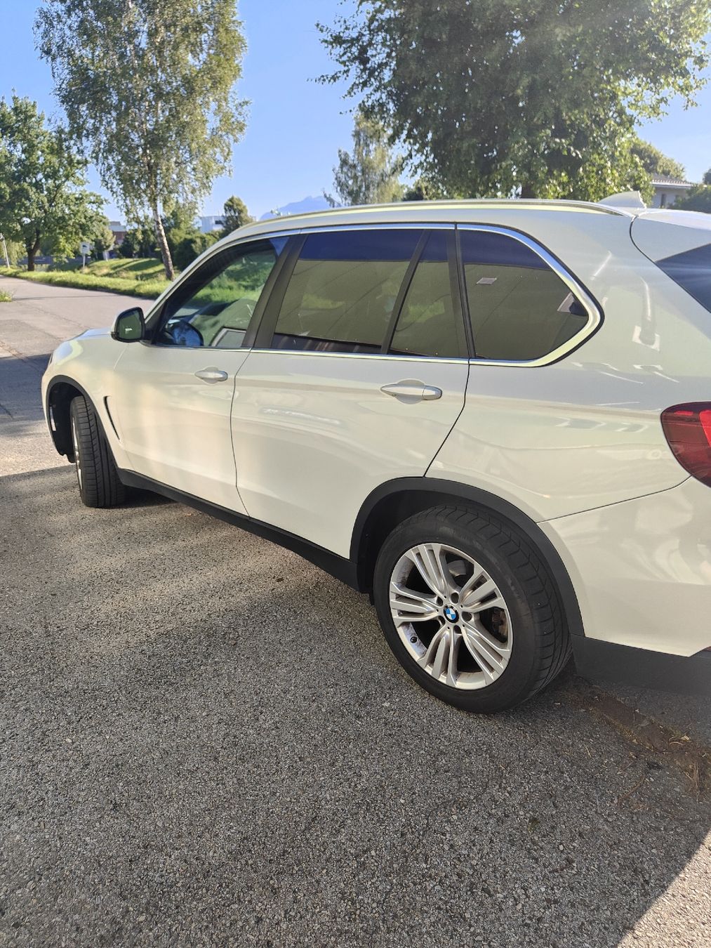 BMW Automobili: BMW X5 2.0 Diesel – Usato da Zürich venduto da ajt_bk2h 5