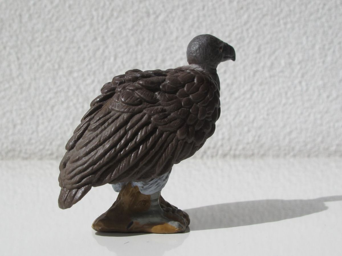 Schleich Statuette: Schleich 16706 Weissrücken Geier – Usato da Vilters venduto da hedi00 6