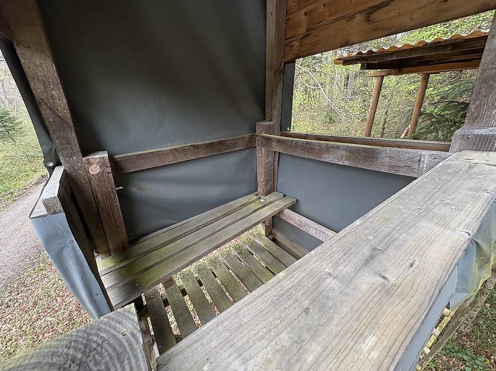 Holzartikel: Stabile Jagdkanzel Eiche – Gebraucht aus Rickenbach ZH von Pumba_500 2