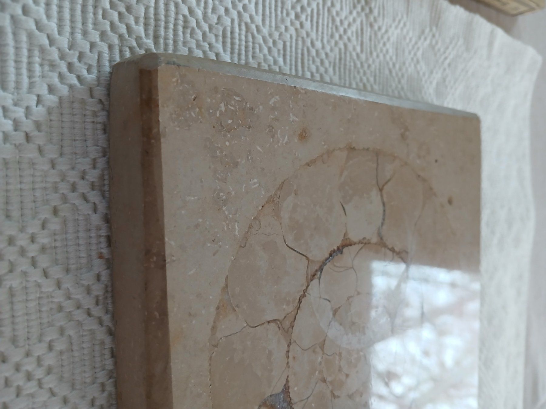 Fossili: Fossiles Ammonit im Kalkstein – Usato da Hinwil venduto da Chnap 3