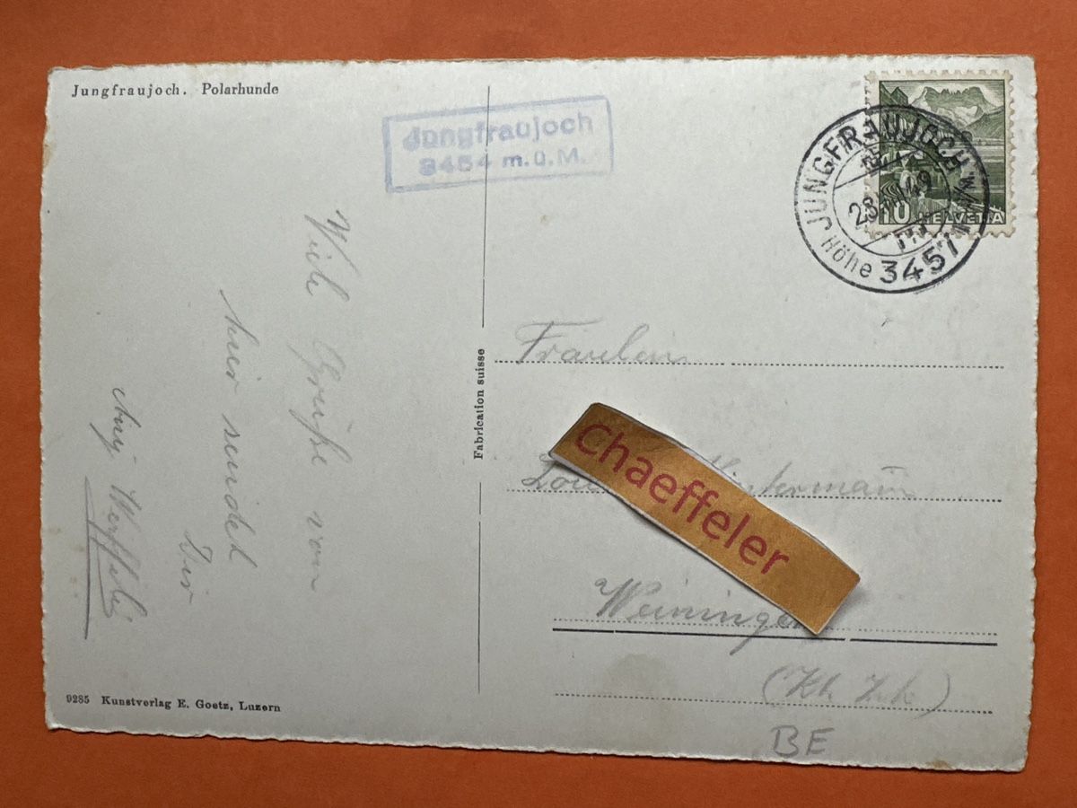 Ansichtskarten: 1949 Jungfraujoch. Polarhunde – Gebraucht aus Zürich von Chaeffeler 1