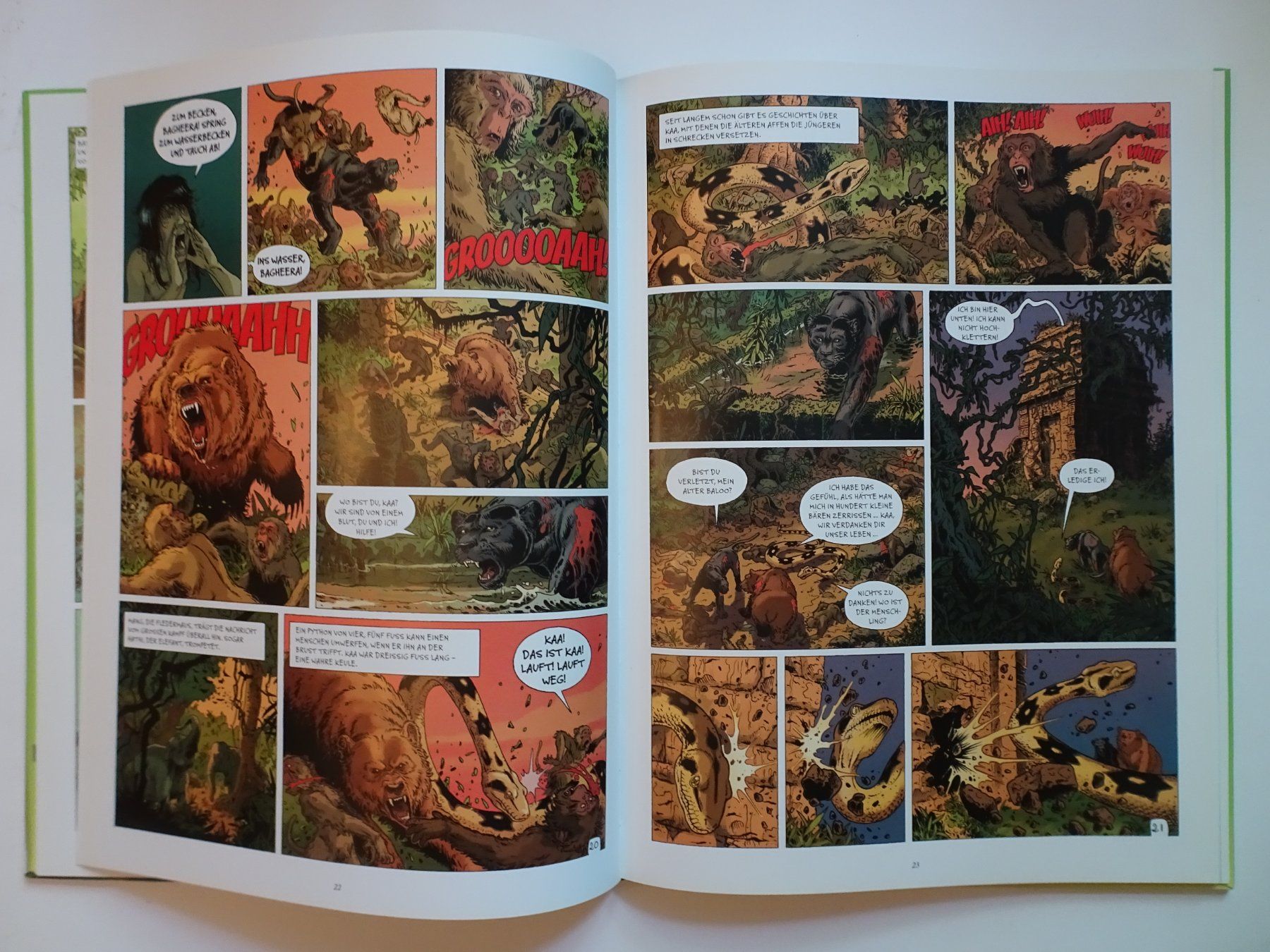 Comics: Brock Haus Literaturcomics Das Dschungelbuch Comic – Gebraucht aus Schönenwerd von schnitzunddrunter 3