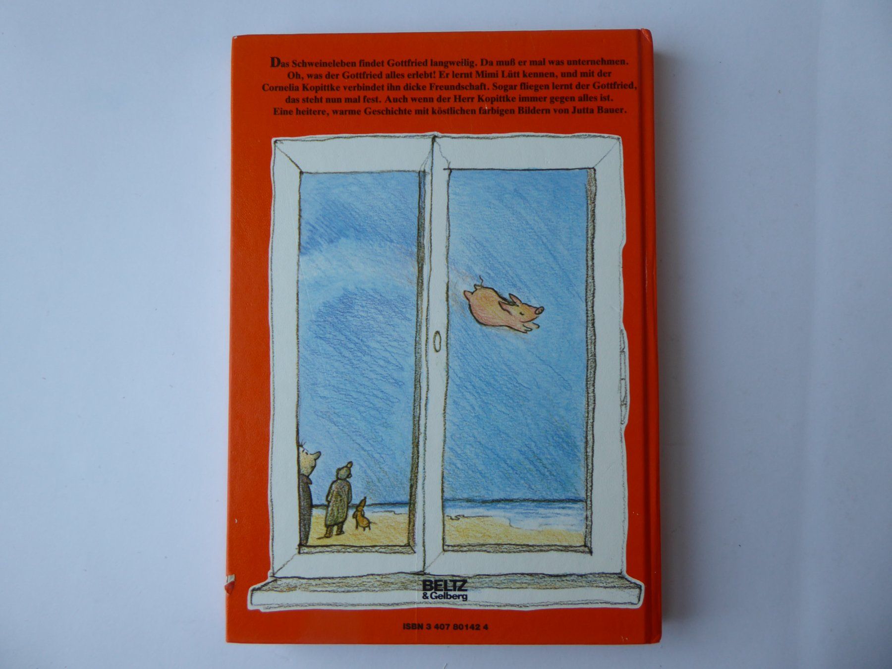 Bücher: Kinderbuch Gottfried das fliegende Schwein, W. Behncke – Gebraucht aus Turbenthal von Panau 5