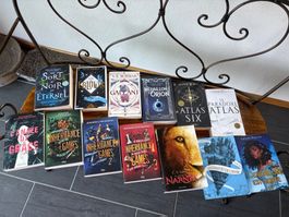 Maxi lot de 13 gros livres ado/jeune adulte