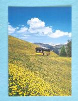 Schamserberg (GR) - Postauto - 2004