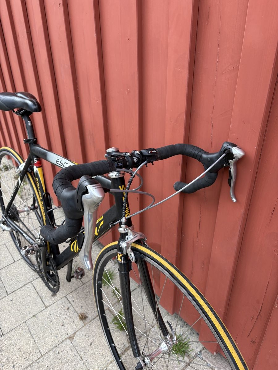 Velos: Wilier Escape Rennrad "Competition" schwarz – Gebraucht aus Rafz von Ra_wi89 2