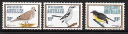 Niederländische Antillen Serie 429 - 431 Vögel ** 3.9.1980