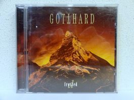 CD GOTTHARD / FROSTED