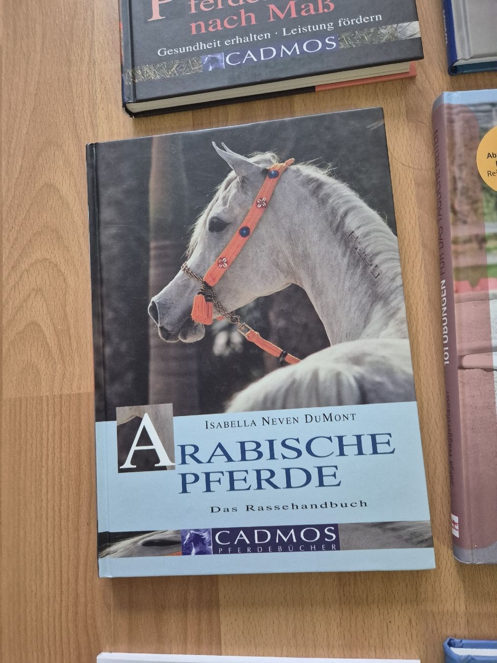 Briglie & Cavezze: Pferdefachbuch "Arabische Pferde" – Usato da Meggen venduto da Orrinka20