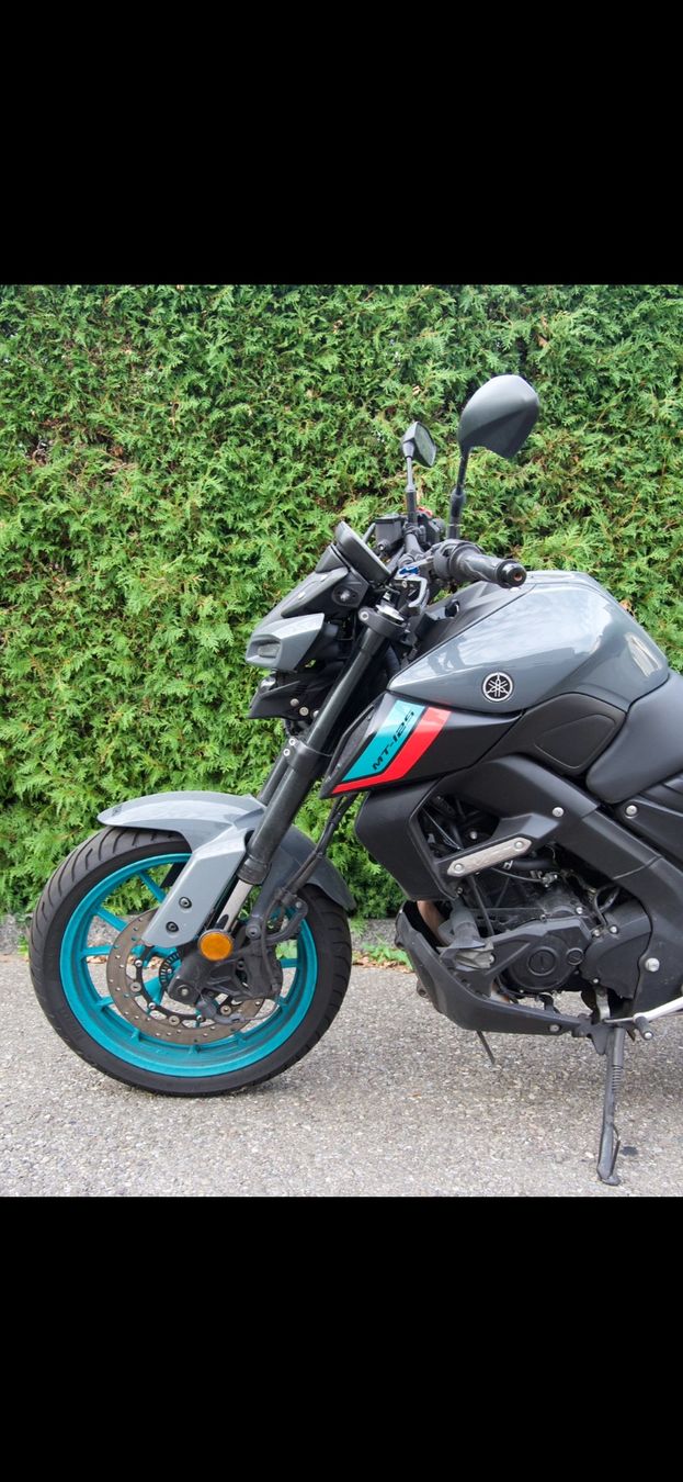 Yamaha Strada: Yamaha MT 125 – Usato da Ebmatingen venduto da dav_8gnc 1