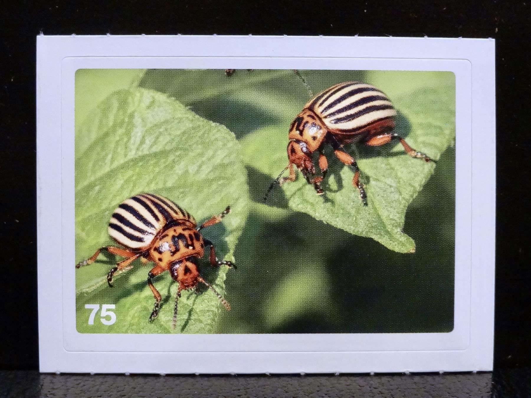 Migros Carte collezionabili: MIGROS MANIA Nature Detectives Nr. 75 – Usato da Kerzers venduto da zimmergruen