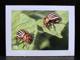 MIGROS MANIA Nature Detectives Nr. 75