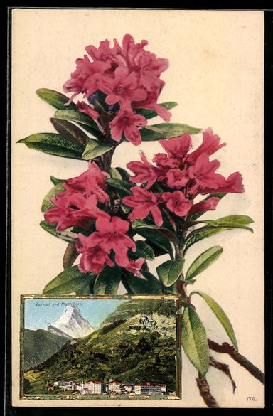 Cartoline postali: Zermatt, Teilansicht mit Matterhorn, Alp – Usato da Berlin venduto da bartko-reher