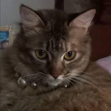 Profile image of Tiz_1967