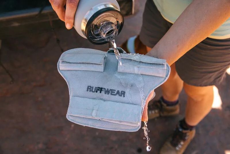 Ruffwear Guinzagli & Collari: Ruffwear Swamp Cooler Core Chest Panel graphite gray // S – Nuovo e nell'imballaggio originale da Brittnau venduto da Arves 4