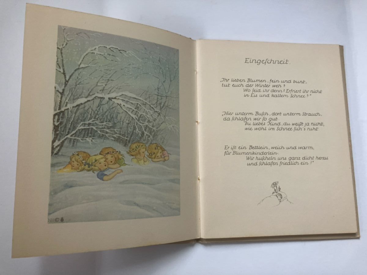 Libri: Schnee und Eis Nora Scholly – Usato da ZUERICH venduto da Carolus1 3