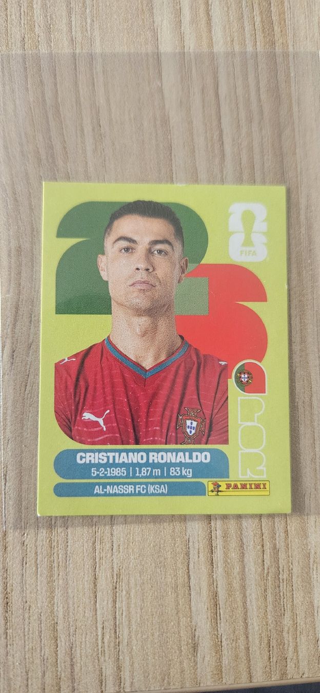Panini Carte collezionabili: Panini FIFA Sticker Extra Sticker – Nuovo (secondo la descrizione) da Dulliken venduto da senci10 2