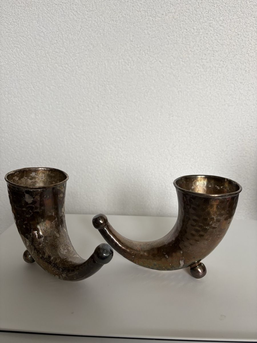Altre raccolte & rarità: Versilberte Trinkhörner – Usato da Steinebrunn venduto da finos33 1