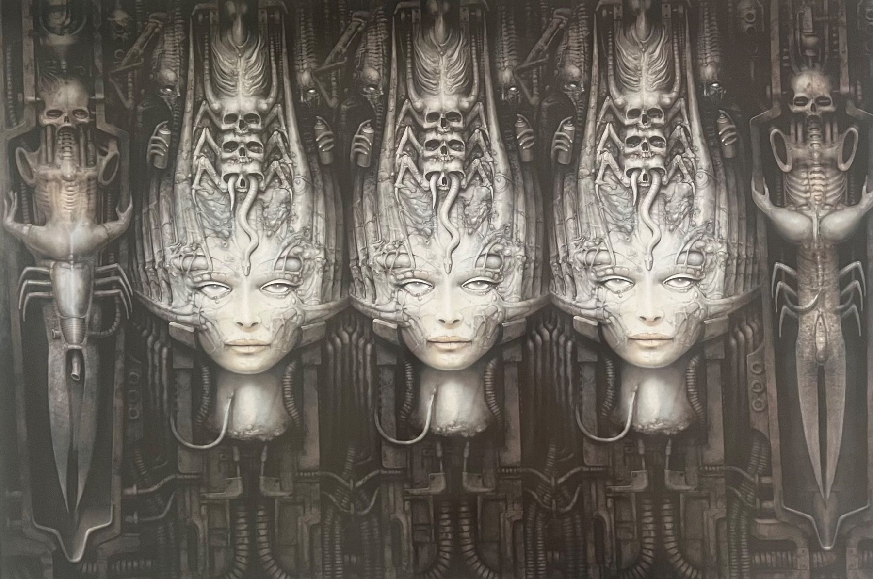 Grafica & Litografie: Hans-Rudolf Giger – Usato da Rain venduto da Pic-Ass 1
