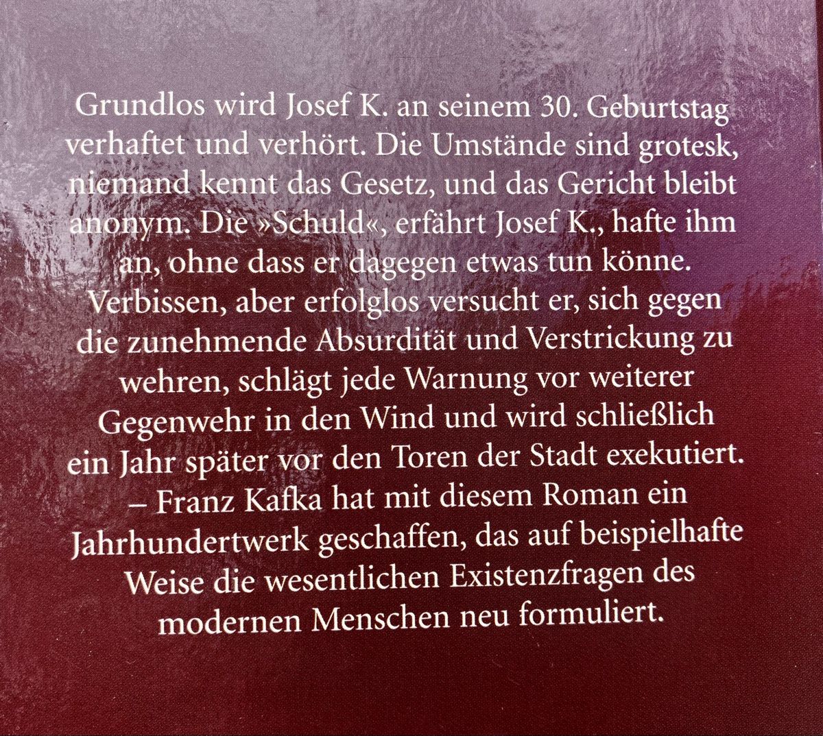 Libri: Franz Kafka: Der Prozess – Usato da Buchs AG venduto da Allerleis 4