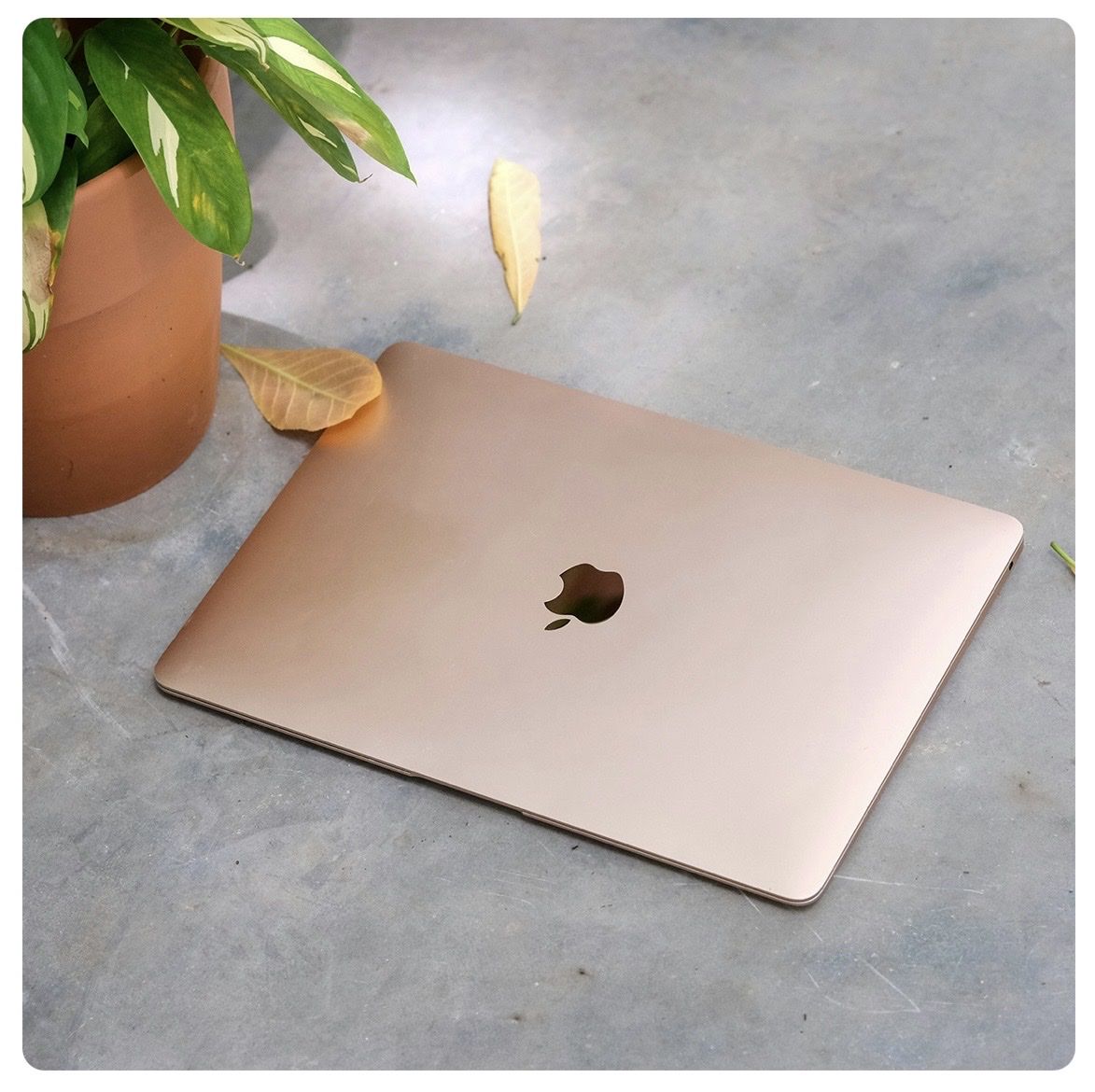 Apple Notebook: Macbook Air 13, M1 – Usato da Niederwangen BE venduto da tin.ma