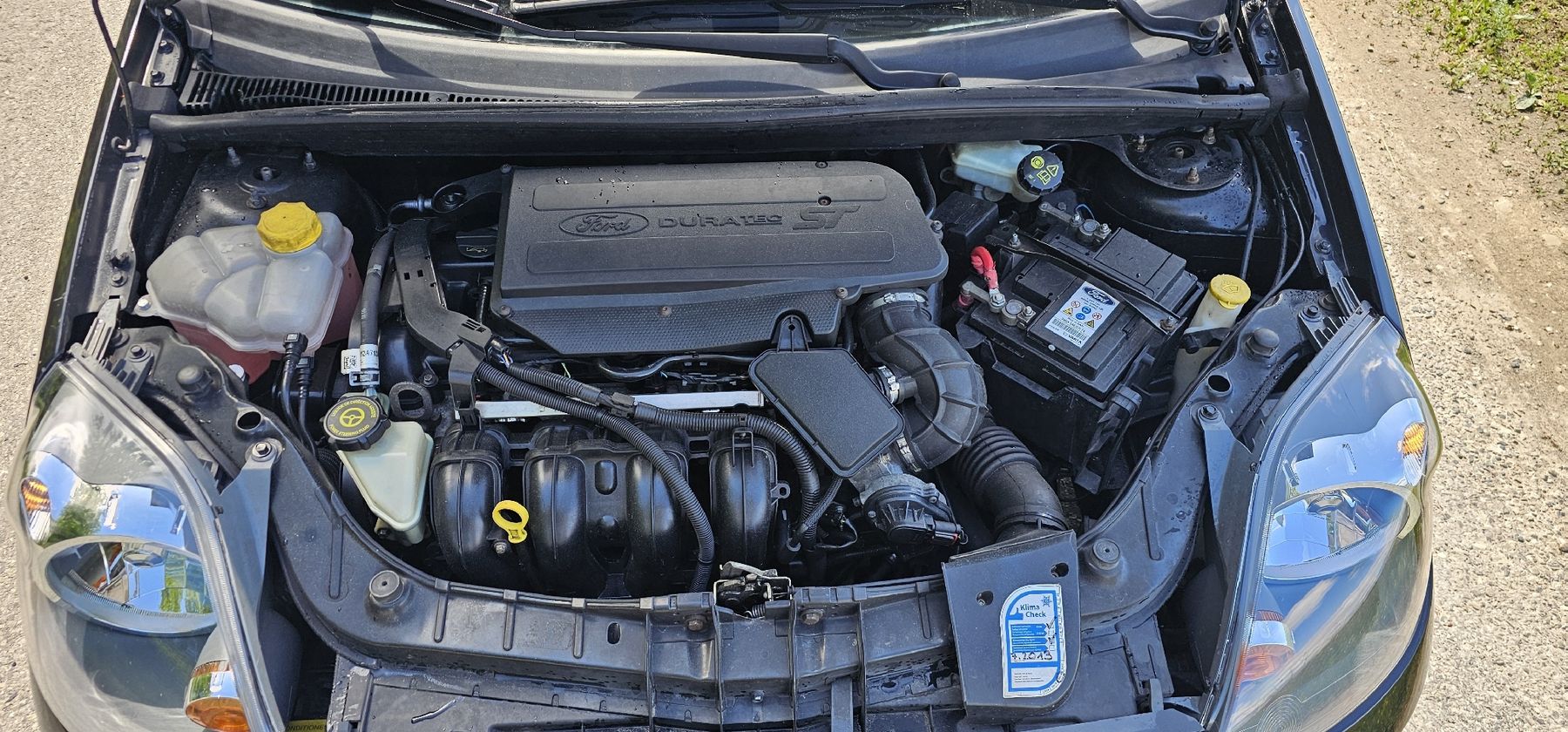 Ford Automobili: FORD FIESTA ST150  – Usato da Trubschachen venduto da lor_k8zq 7
