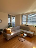 Pfister corner sofa, light grey color in very good condition
