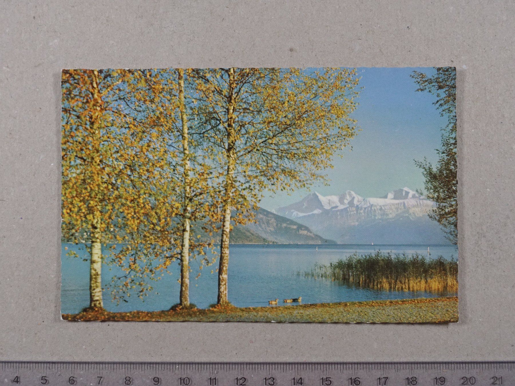 Cartes postales: Thunersee, Eiger, Mönch, Jungrau – D'occasion à Lenzburg par fh1