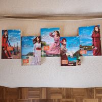 Bücher Die Perlenprinzessin Iny Lorentz 5 Bände