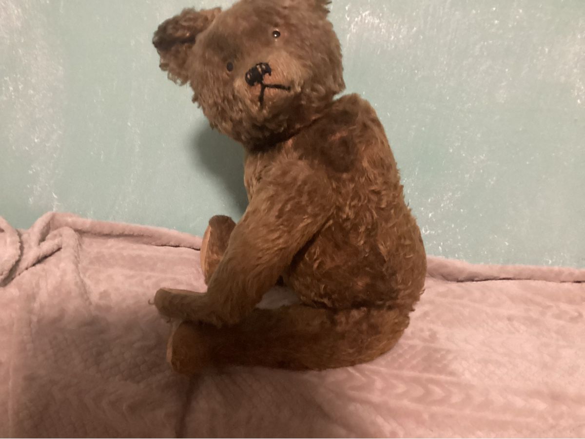 Steiff Giocattoli: ANTIKER TEDDY STEIFF? – Usato da Münchenstein venduto da NoSu98