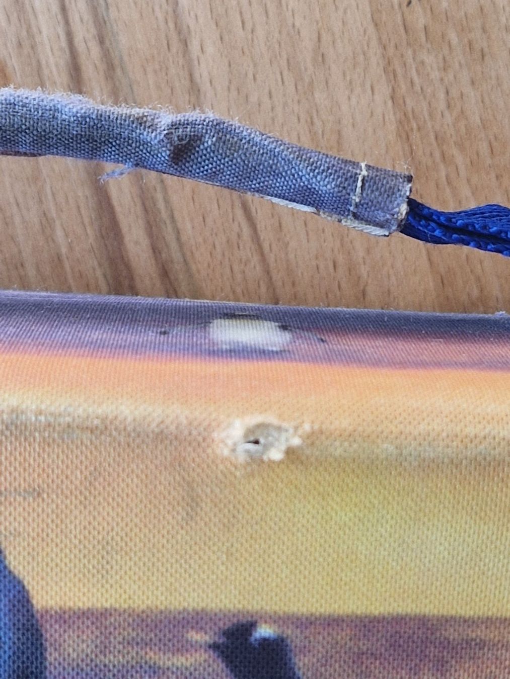 Sacs à dos: Schulranzen mit Pinguin-Motiv – D'occasion à Nänikon par kriki 8