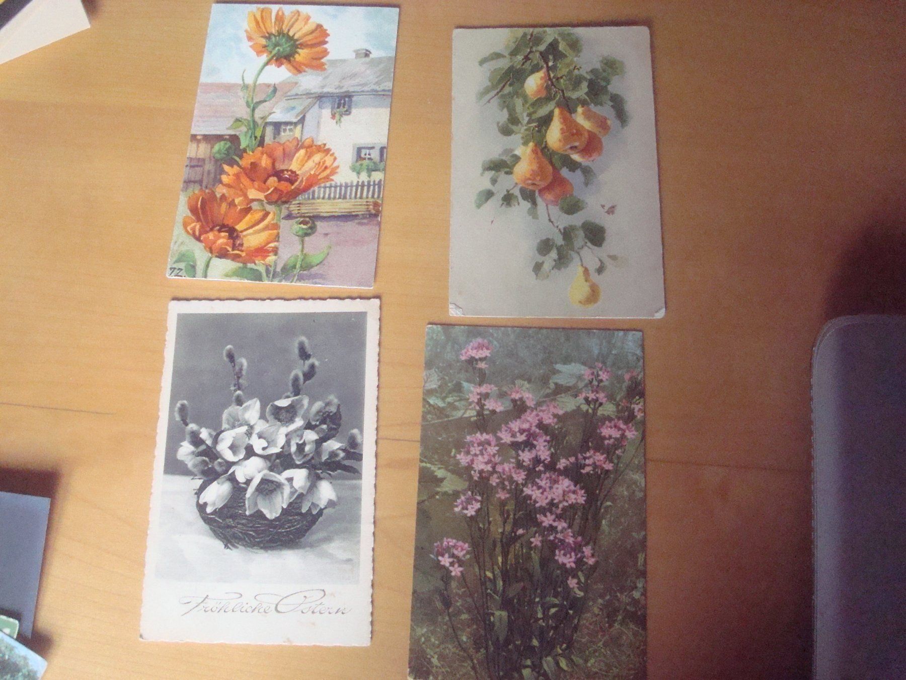 Cartoline postali: No 11 AB 1913 schöne alte Postkarten – Usato da Gordola venduto da Polentaefung