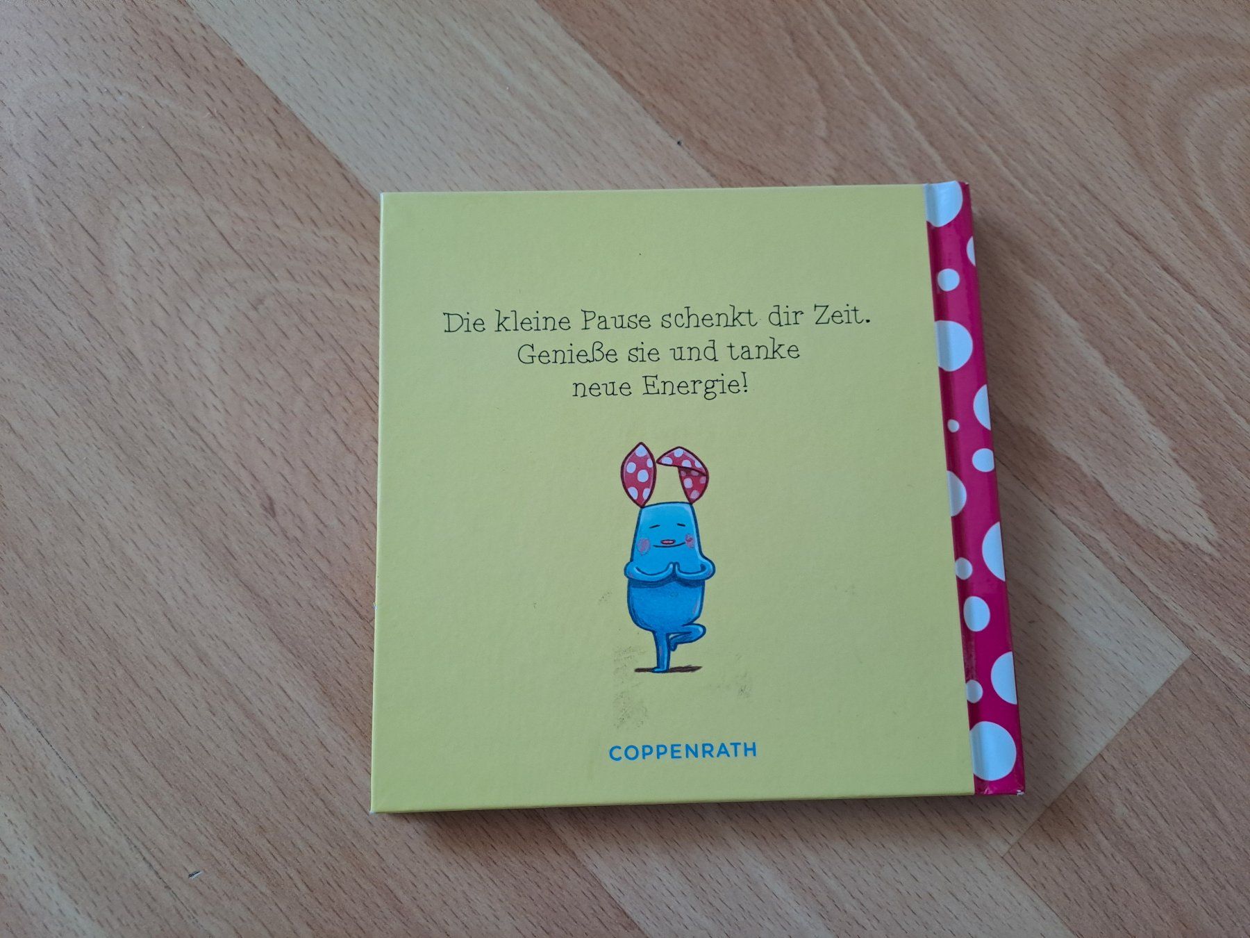 Libri: Buch: Die kleine Pause tut immer gut – Nuovo e nell'imballaggio originale da Hombrechtikon venduto da Rada039 1