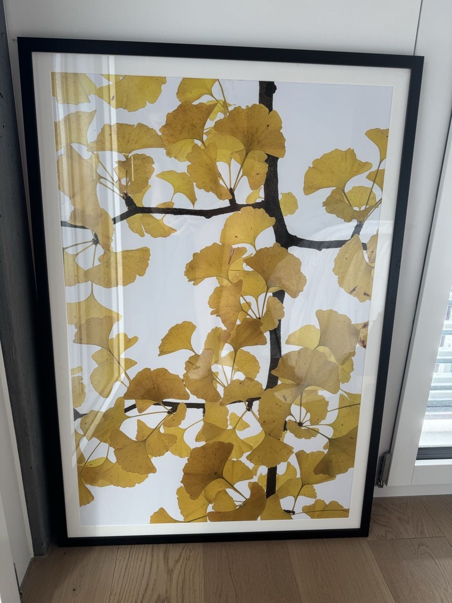 Foto & Immagini: Bild im Rahmen schwarz, 90x60cm – Usato da Cham venduto da Daniela_86