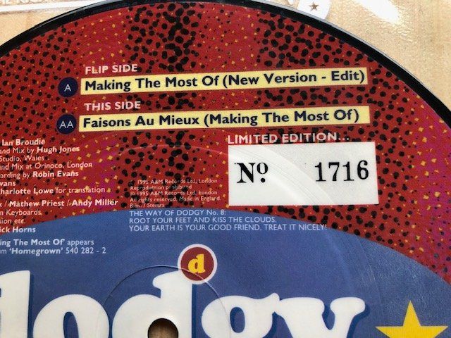 Vinyles: Dodgy – D'occasion à Aarwangen par Jukebox3 4