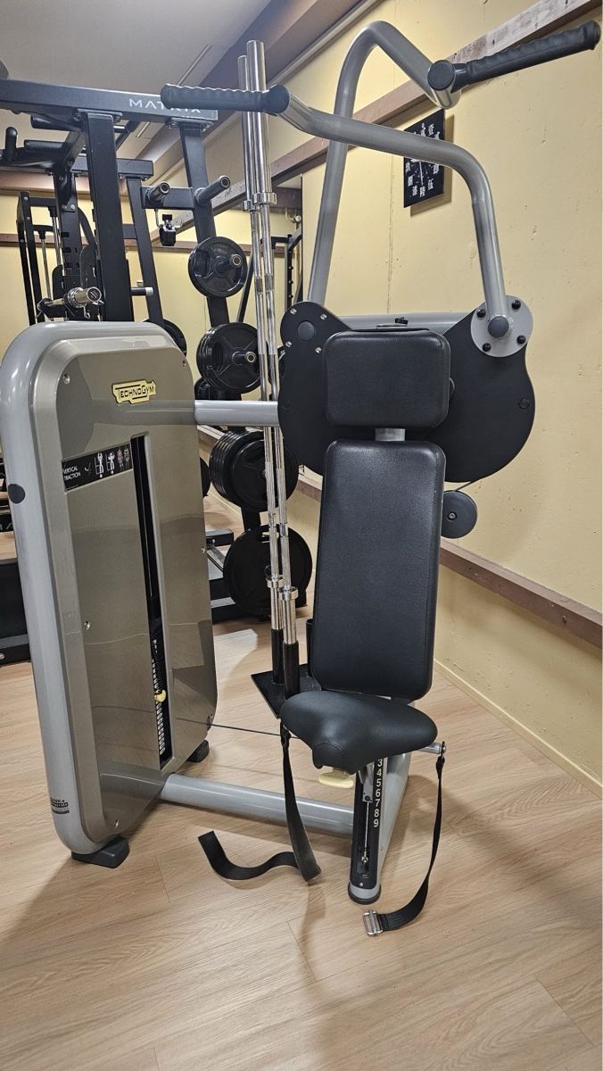 Technogym Hometrainer: Technogym Artis Vertical Traction Top Zustand! – Usato da Eschen venduto da Uk6684