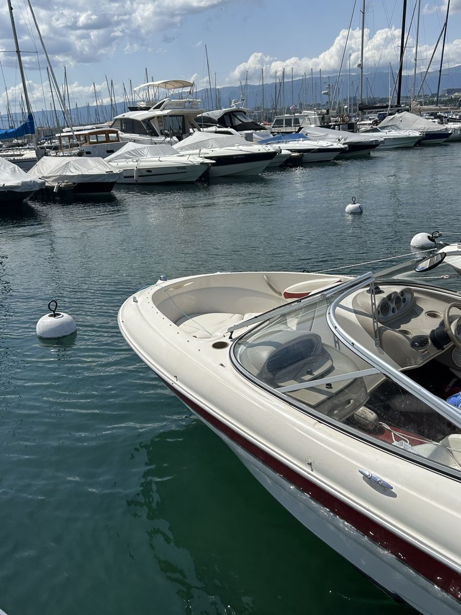 Bayliner Barche: Bayliner 195 – Usato da Thonex venduto da jga_q5tz 4