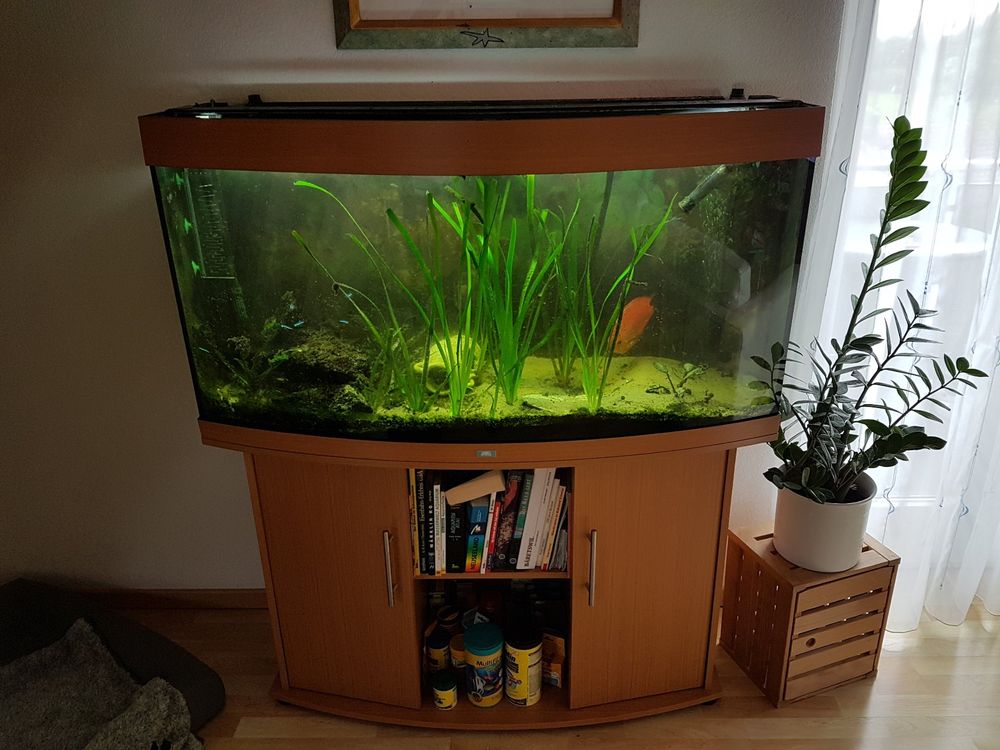 Aquarium, ca. 270l, gewölbte Front, mit Untergestell Kaufen auf Ricardo