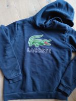 Lacoste Hoodie 12 Jahre
