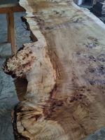 Große Maser-Pappel-Platte 207 cm Massivholz Klotzbretter XXL