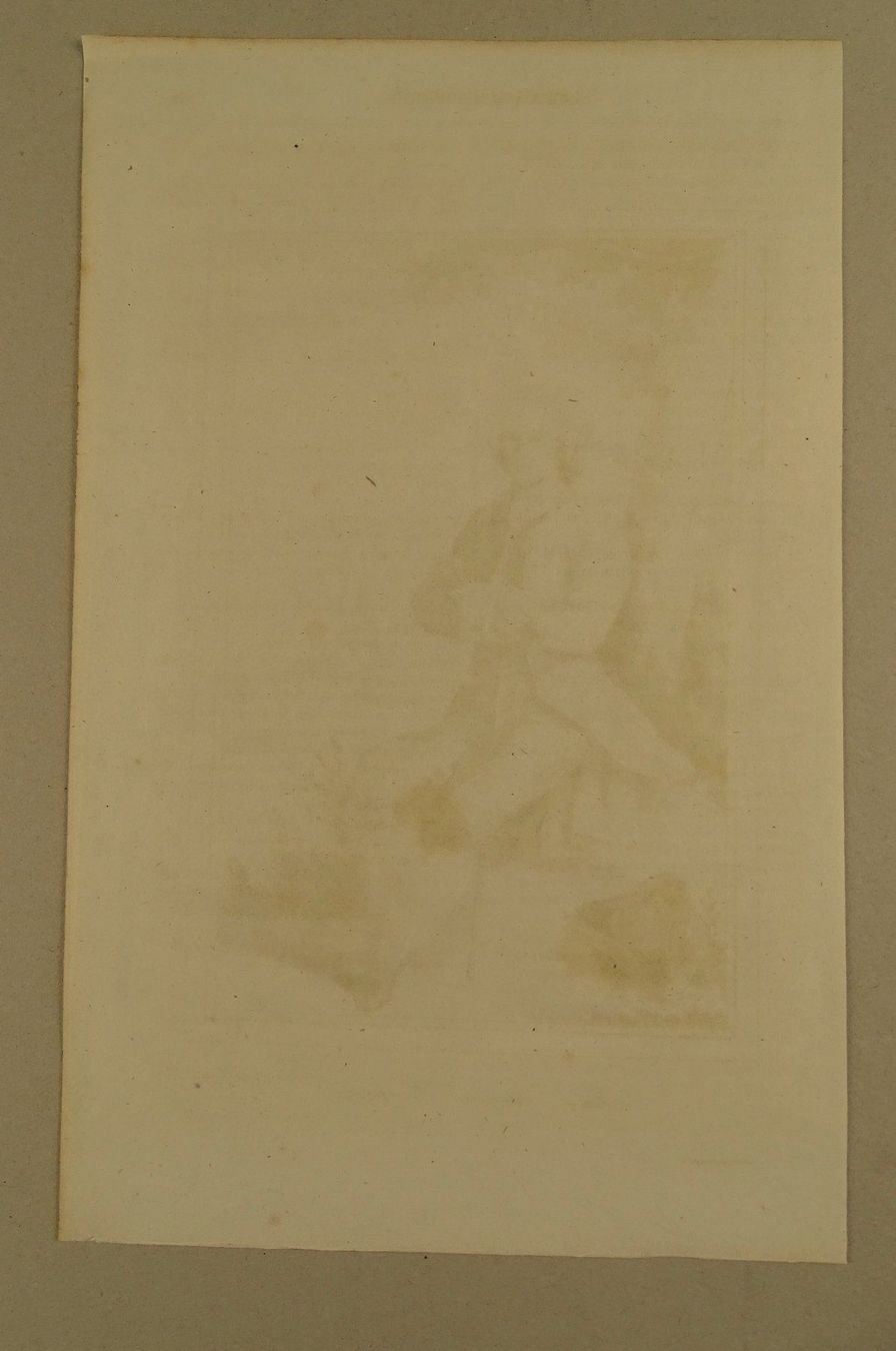 Incisioni: JEAN-JACQUES ROUSSEAU, KUPFERSTICH 1836 – Usato da Grüningen venduto da Kartensammler 5