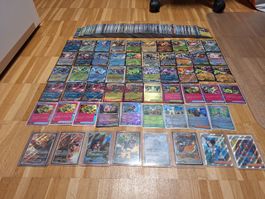 Viele Pokémon Bulk, EX und Illustration Rare Karten