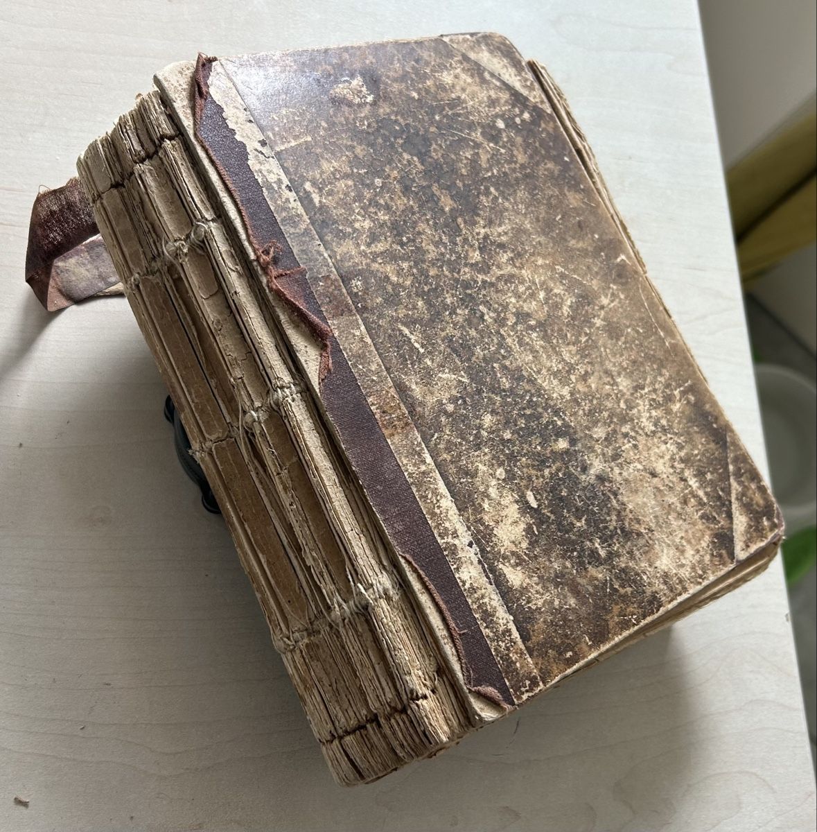 Libri: Altes Buch "Spada Sterminatrice!" Roman – Difettoso da Reinach BL venduto da Linda013