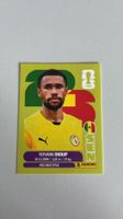 Carte panini 2026 - SEN 3